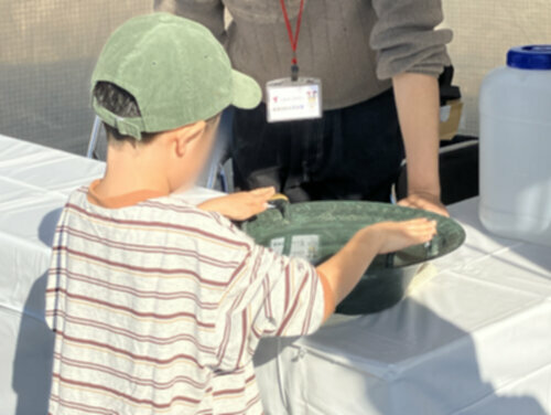  建築・都市システム学系　海岸工学研究室が「みんなでBOUSAIキャラバン」で体験ブースを出展しました