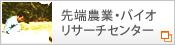 豊橋技術科学大学先端農業・バイオリサーチセンター